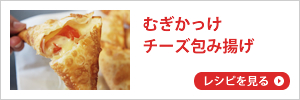 ނ `[Yݗg̍